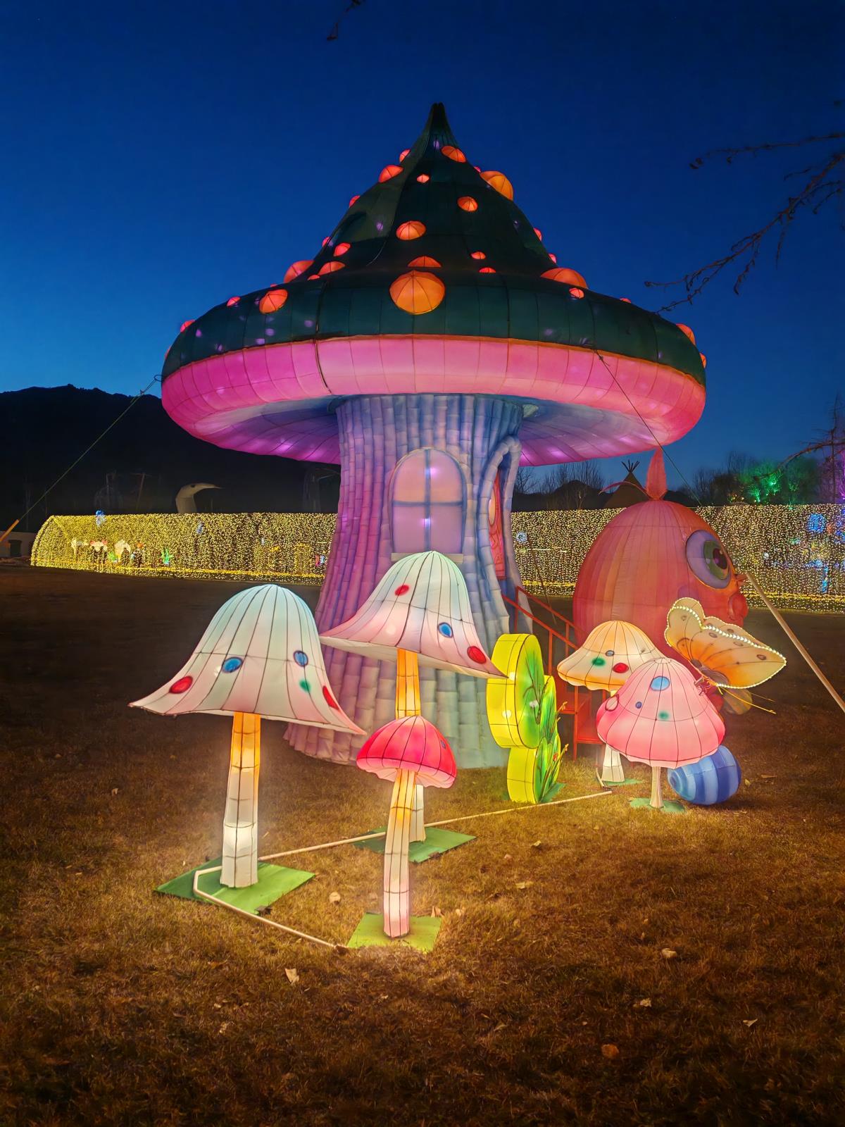 大明川景区2025新春灯会